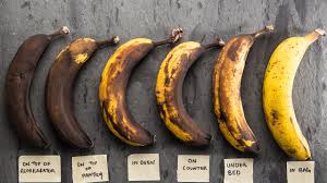 How does a banana loose mineral content when it remains untouched? How To Make Bananas Ripen Exactly When You Want Them To Epicurious