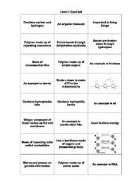 Biology Biomolecules Worksheets Teaching Resources Tpt