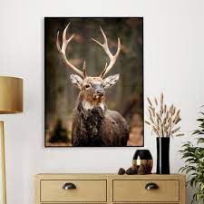 stunning red deer portrait wildlife