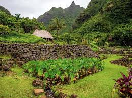 5 beautiful botanical gardens in kauai