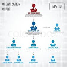 Organizational Chart Infographic Stock Vector Colourbox