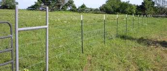 Image result for barbed wire fence
