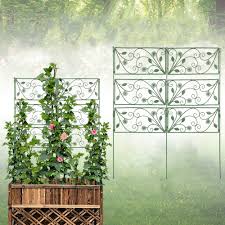 garden trellis climbing plants outdoor