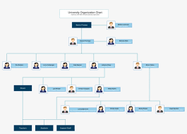 Org Chart Template For University Hotel Organizational