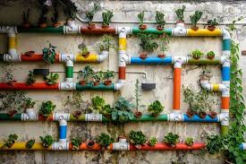 Best Designs For Urban Gardening