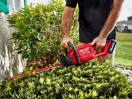 7 best hedge trimmers of 2024 reviewed