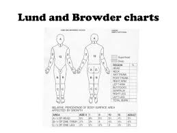 59 Abiding Lund And Browder Burn Chart