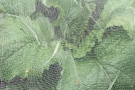 bionet insect net garden sheets 5m 10m
