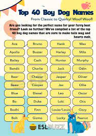 boy dog names adorable names for your