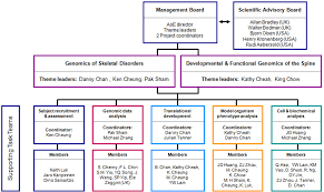 Aoe Organizational Chart