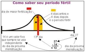 Resultado de imagem para ciclo da progesterona e testosterona na vida da mulher