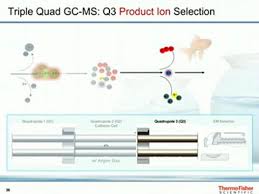 Offers true timed srm operation, allowing for high sensitivity and ease of use for. Mass Spectrometry Technology Overview Thermo Fisher Scientific Jp