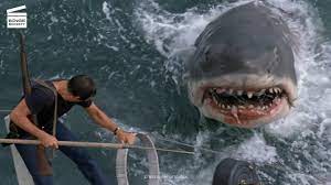 Les Dents de la Mer : Brody tue le requin - YouTube