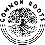 What are common roots?
