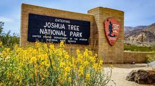 Check spelling or type a new query. Joshua Tree National Park Z107 7 Fm
