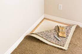 a look at the common causes of carpet mold