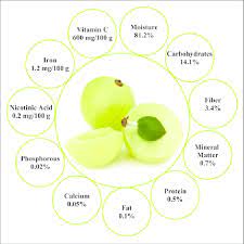 nutritional value of fruit of emblica