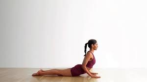 cobra pose bhujangasana