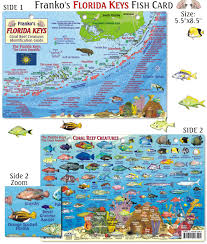 Map Of The Keys Florida Keys Fish Transparent Cartoon