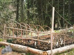 How To Build A Twig Fence Use Those