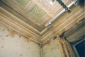 clear signs of ceiling mold growth