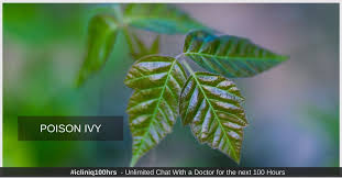 poison ivy causes symptoms