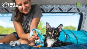 Find out how much cat adoption costs, access a cat adoption checklist and things to keep in mind during your first 30 days with a cat. Petco Foundation Posts Facebook