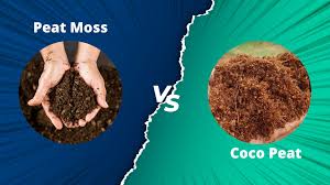 peat moss vs coco peat what s the