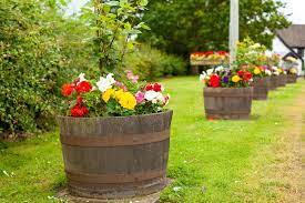 Prepare A Whiskey Barrel For Planting