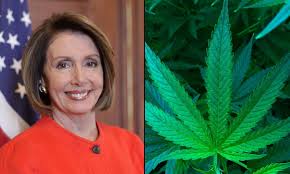 Nancy patricia pelosi (/ p ə ˈ l oʊ s i /; Nancy Pelosi Says Marijuana Is A Therapy That Has Proven Successful Amid Coronavirus Bill Debate Marijuana Moment
