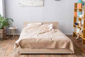 box spring covers for bed bugs