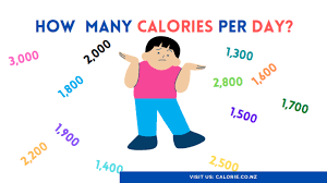 calorie calculator calorie