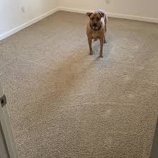 rug cleaning in cartersville ga