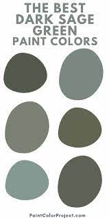 The 9 Best Dark Sage Green Paint Colors