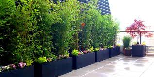 Guide To Rooftop Gardens Garden Design