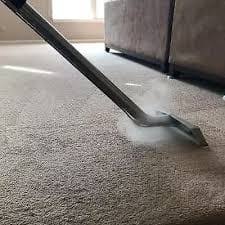 steam carpet cleaners auckland hire