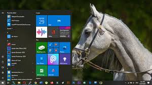 This is generally used by us and also trustworthy for us nowadays. Windows 10 Pro Build 10240 Iso Free Download Pc Papa