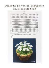 miniature marguerite flower plant paper kit