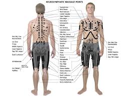 Muscle action exercises/machines chest press incline press pectoral fly. Reflex Points Series Part 1 Neurolymphatic Points