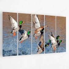 Duck Hunting Mallard Canvas Painting