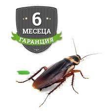Maxforce гел против хлебарки с имидаклоприд 2.15 g / 100 g. Prskane Sreshu Hlebarki Za 30 Lv Garanciya 6 Meseca