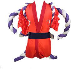 Amazon.com: Kozuki Oden Cosplay Halloween Costume For Party Kimono bathrobe  (Female L) : Clothing, Shoes & Jewelry