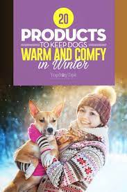20 Things to Keep Dogs Warm in Winter (Indoors and Outdoors)