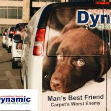 dynamic carpet care columbia