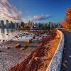 Story image for vancouver real estate from RE/MAX Canada News (press release) (blog)