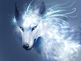 icewolf white winter iarna blue