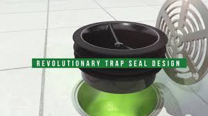 i m trapped trap primers vs trap seals