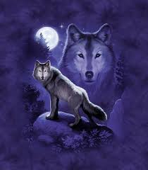 Image result for wolf r11