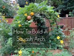 How To Build A Squash Arch Home