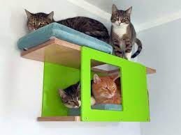 Wally Tunnel Mini Cat Shelf Floating